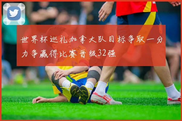 世界杯巡礼加拿大队目标争取一分力争赢得比赛晋级32强