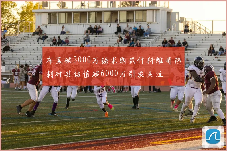 布莱顿3000万镑求购武什科维奇热刺对其估值超6000万引发关注